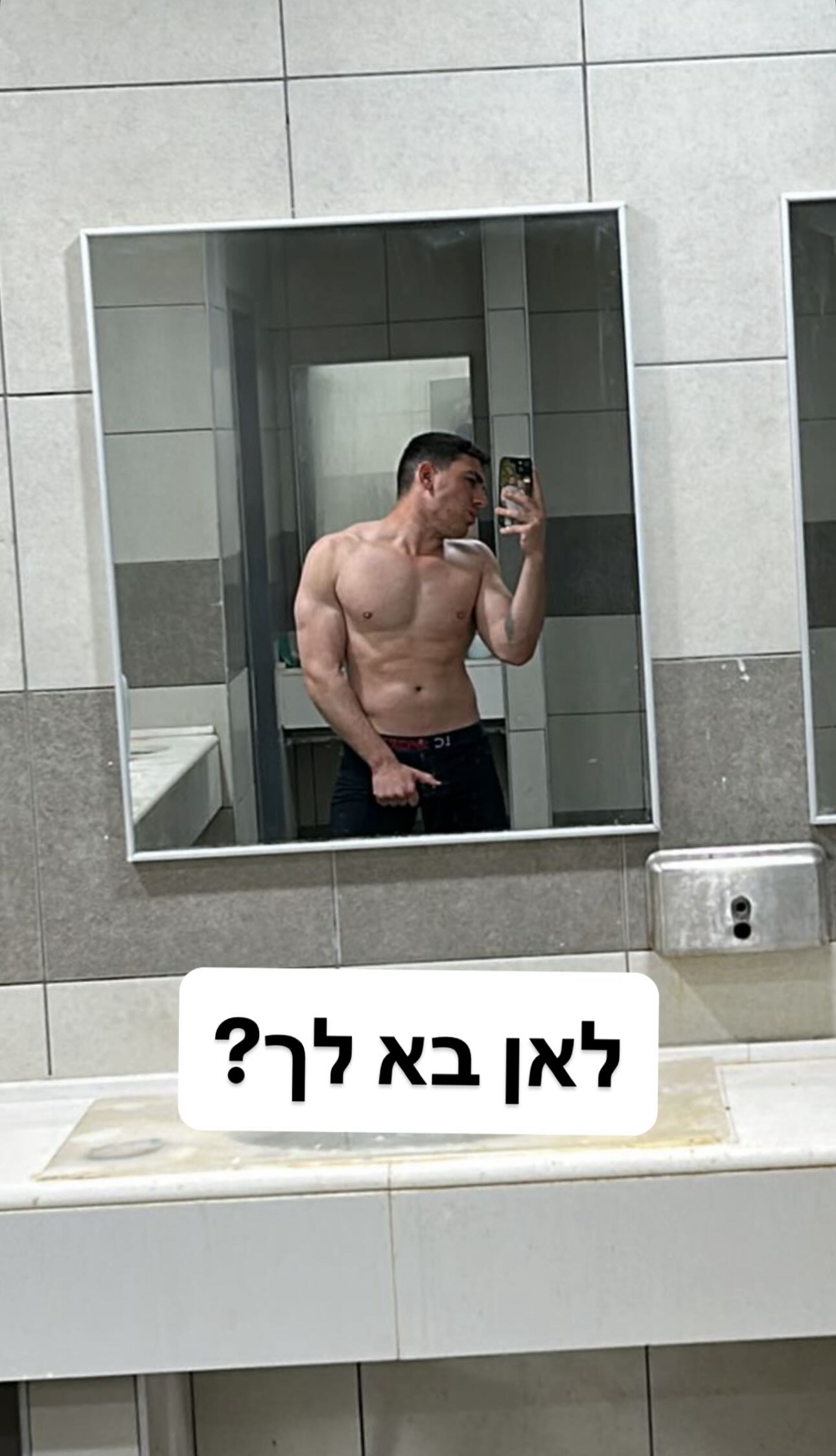 המלצה 6